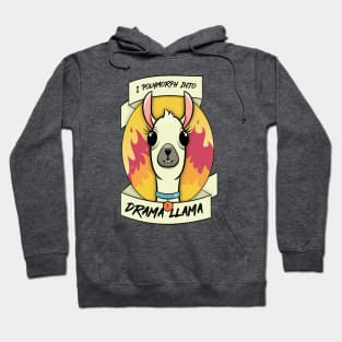 Drama Lllama Hoodie